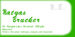 matyas brucker business card
